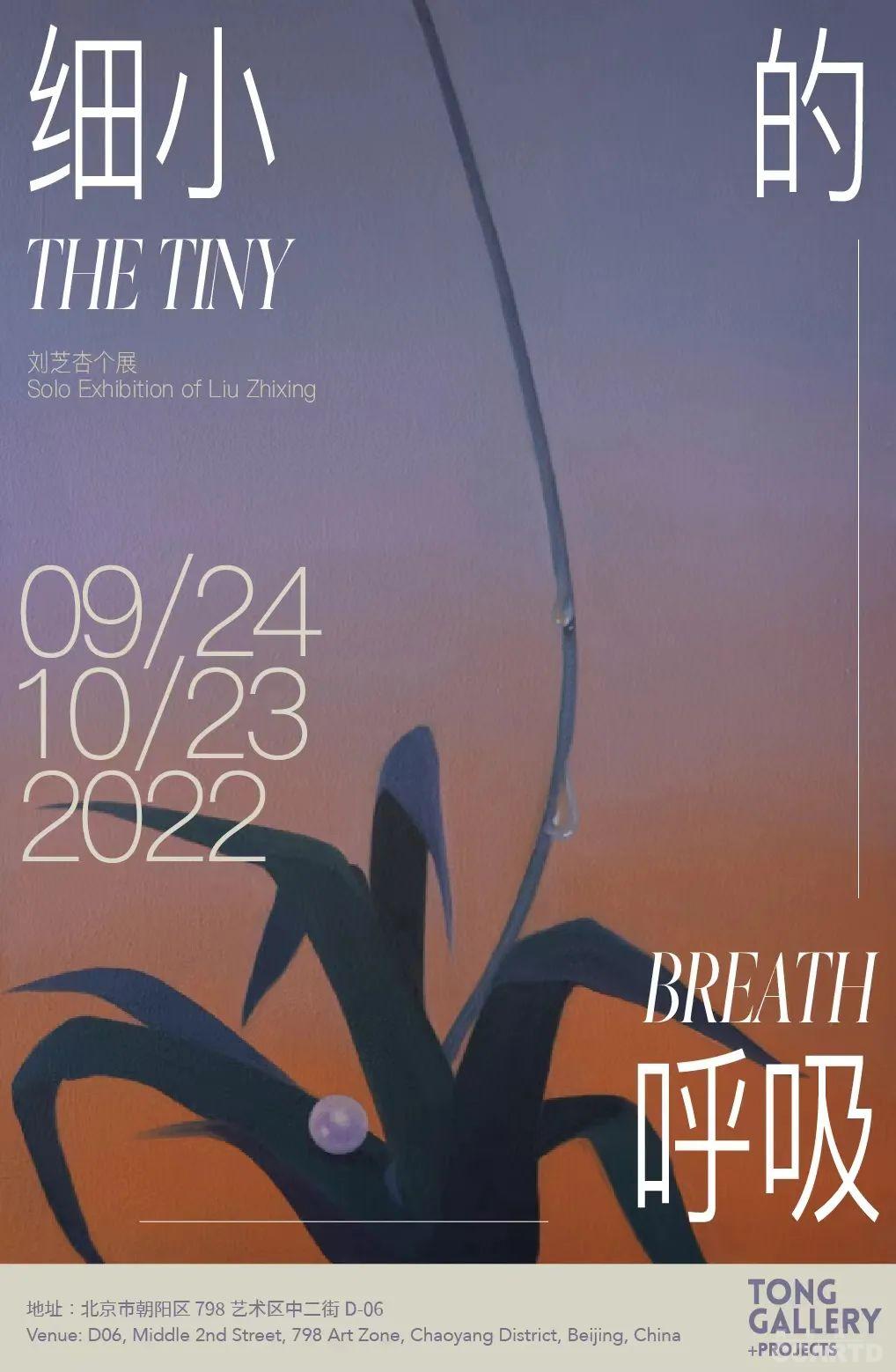 刘芝杏个展《细小的呼吸》将于9月24日开幕
